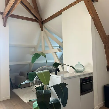 Urban Comfort Loft